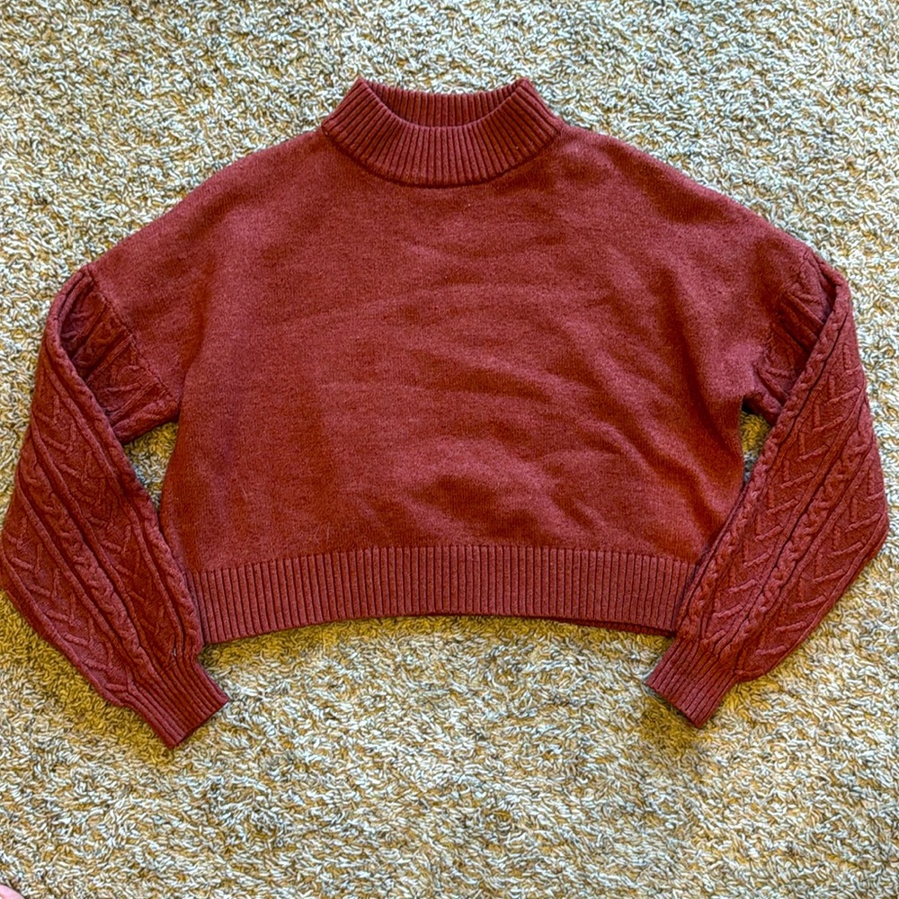 Wild Fable Rust Colored Cropped Sweater - Large